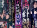 ドキュメントＳＭ　女肉針奴隷